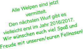 Alle Welpen sind jetzt   vermittelt.  Den n�chsten Wurf gibt es  vielleicht erst im Jahr 2016/2017.  Wir w�nschen euch viel Spa� und    Freude mit unseren/euren Fellnasen!