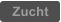 Zucht