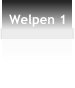 Welpen 1